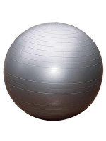 Gymnastický míč 65cm EXTRA FITBALL 